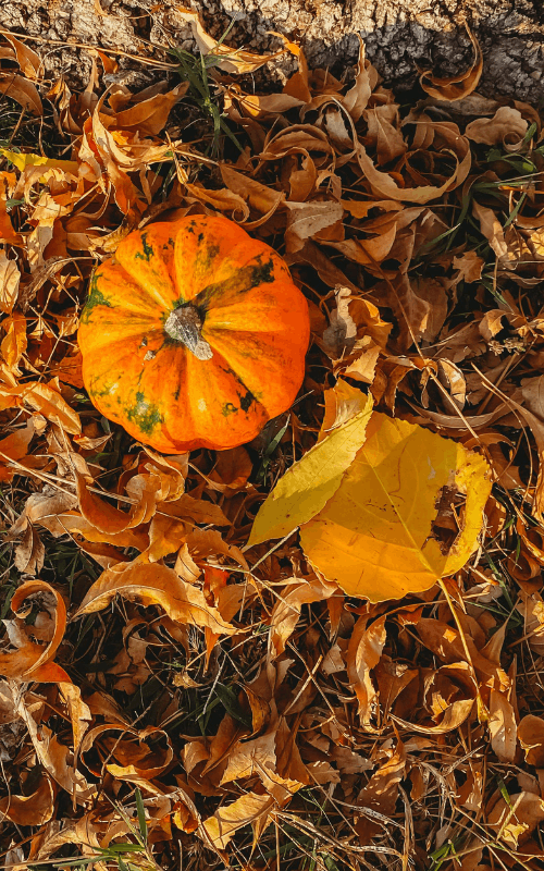 Herbstzauber